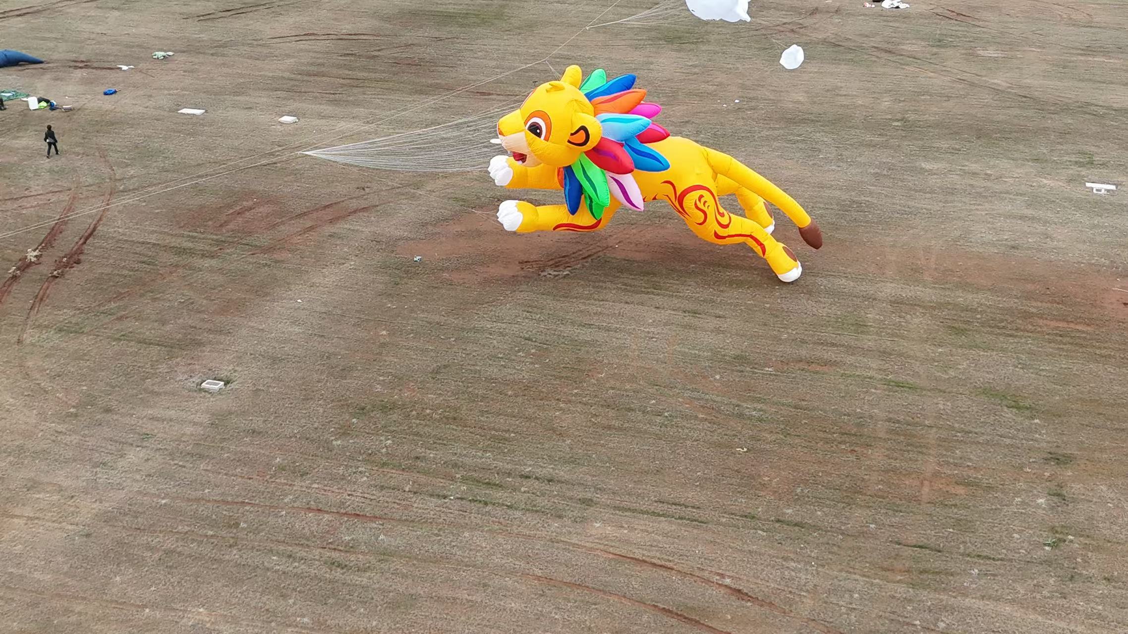 滁州市品牌风筝定制风筝商业放飞 - 价格